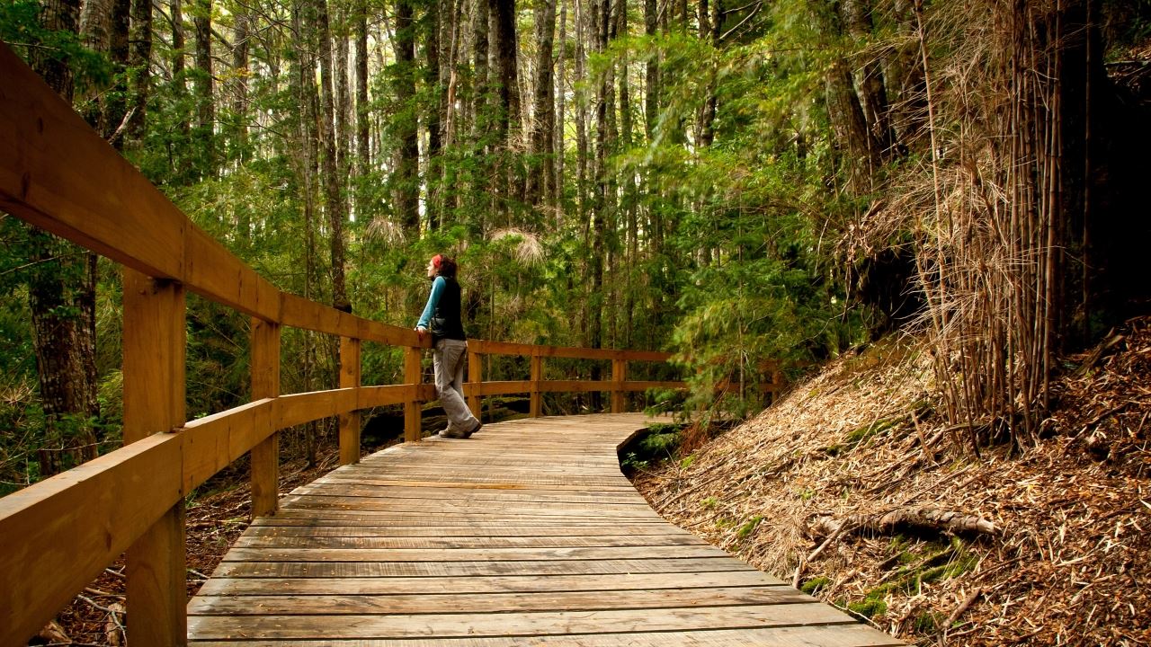 Navegação para Puerto Blest e Cachoeira Los Cantaros (17)