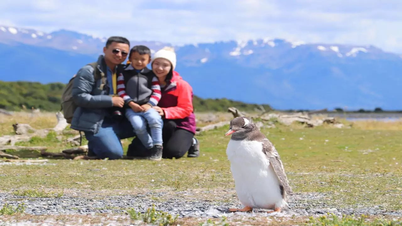 Navegación Canal De Beagle Y Caminata Con Pinguinos En Isla Martillo
