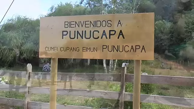 Navigation Punucapa And Its Natural Sanctuary In Valdivia
