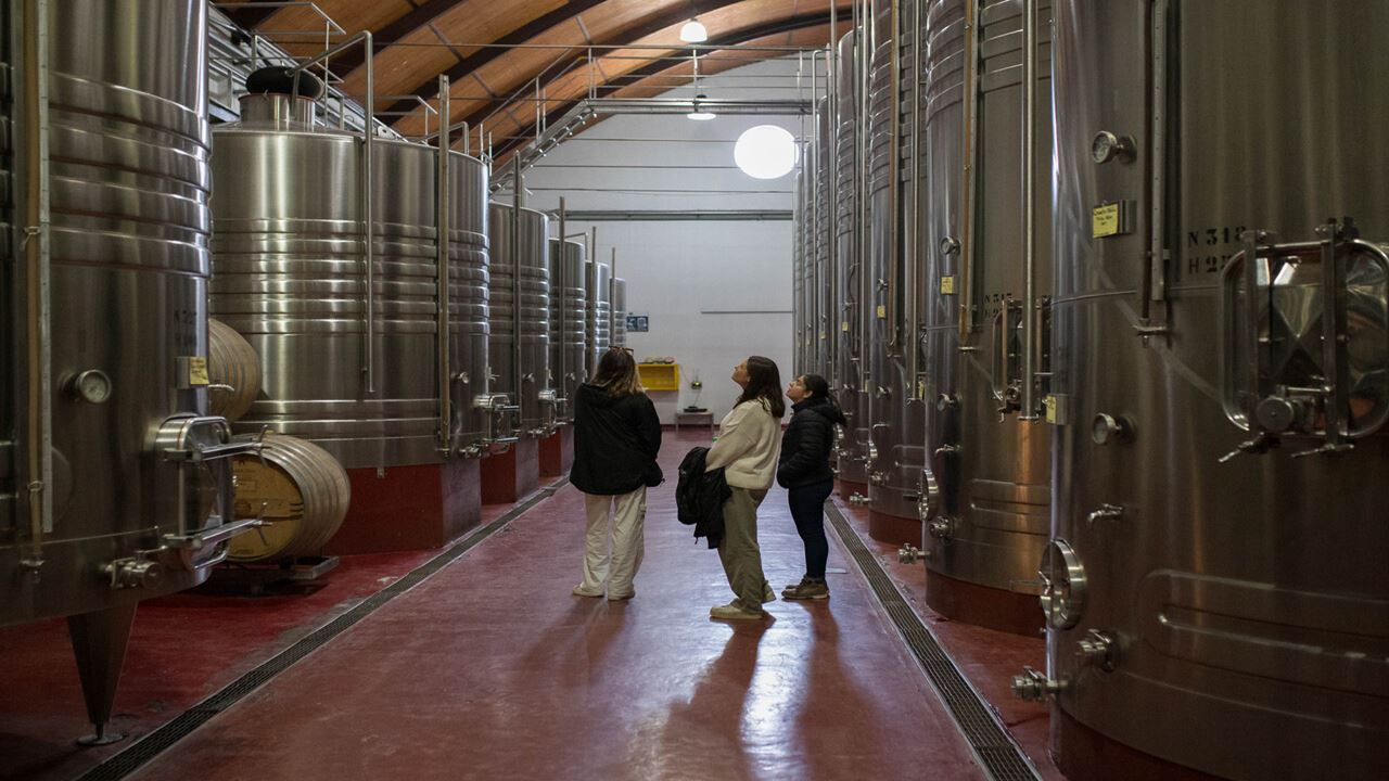 Offer: Wineries And City Tour, Airport Transfers Included