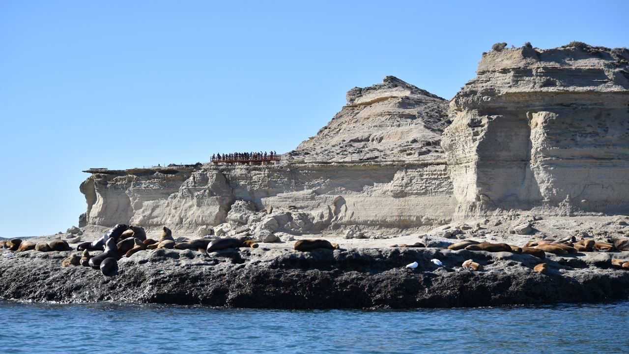 Offer: Valdes Peninsula And Airport Transfers