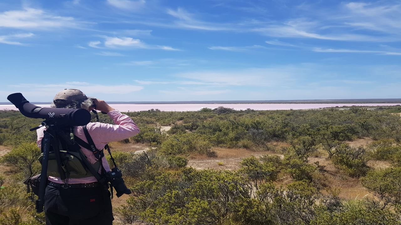 OFERTA: PENINSULA DE VALDES Y TRASLADOS AL AEROPUERTO (3)