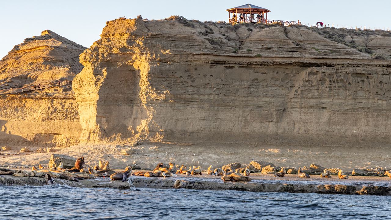 OFERTA: PENINSULA DE VALDES Y TRASLADOS AL AEROPUERTO (4)