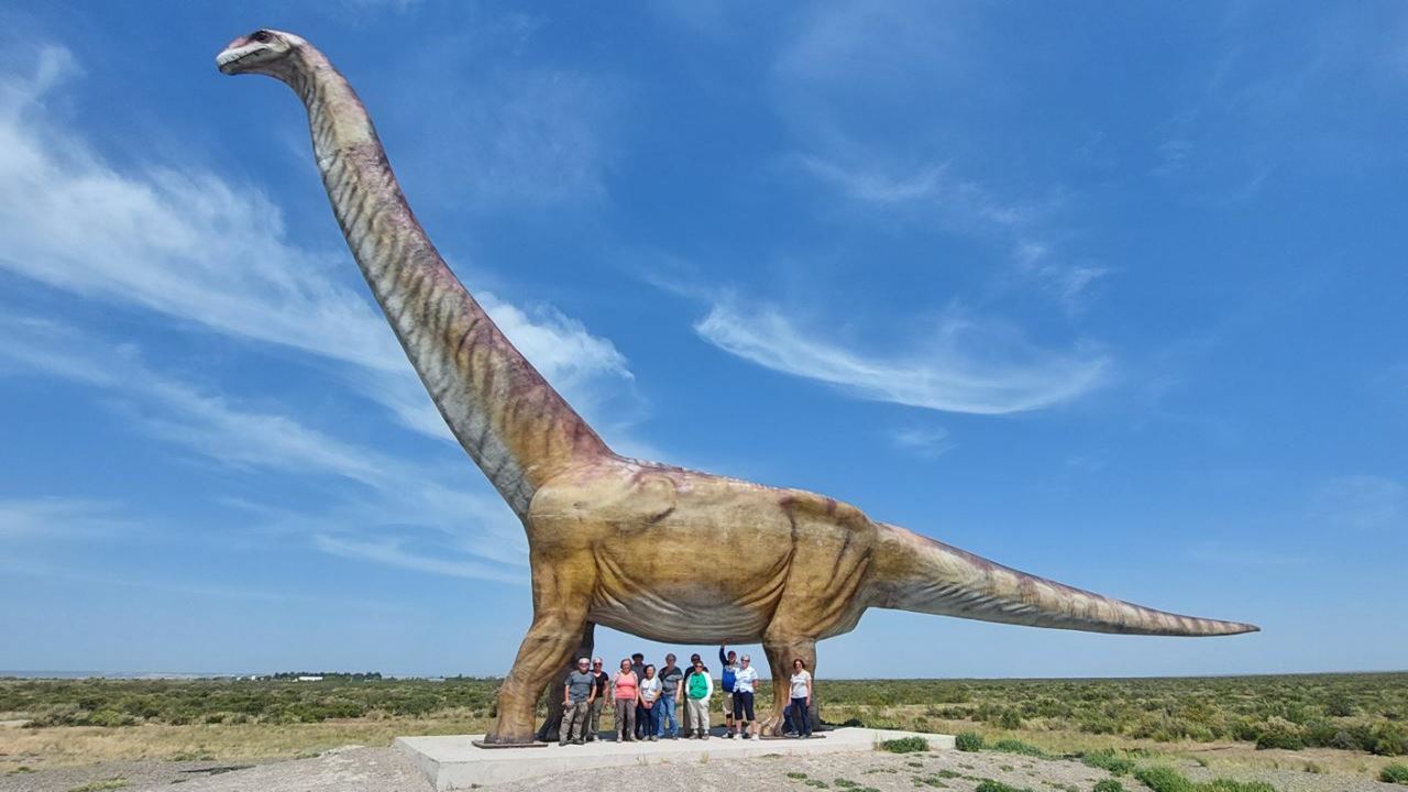 OFFRE : TRANSFERTS PUNTA TOMBO ET AÉROPORT (5)