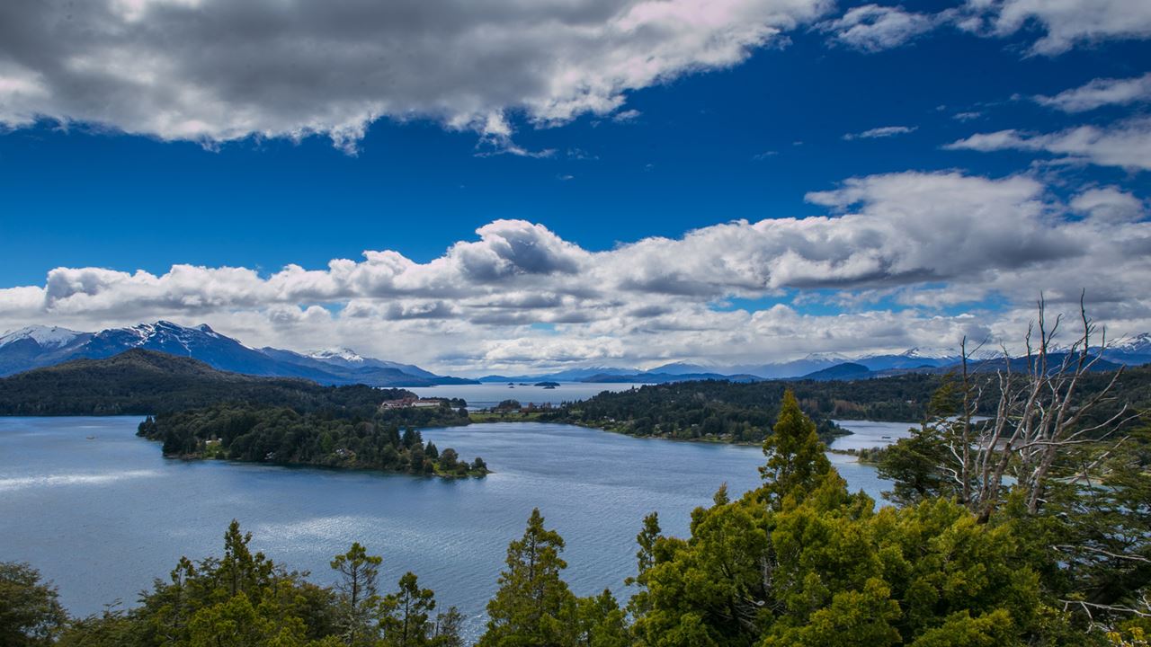 OFFER: AIRPORT TRANSFERS, CHICO CIRCUIT AND VICTORIA ISLAND AND ARRAYANES FOREST (6)