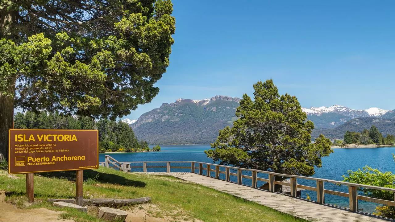 OFFER: AIRPORT TRANSFERS, CHICO CIRCUIT AND VICTORIA ISLAND AND ARRAYANES FOREST (10)