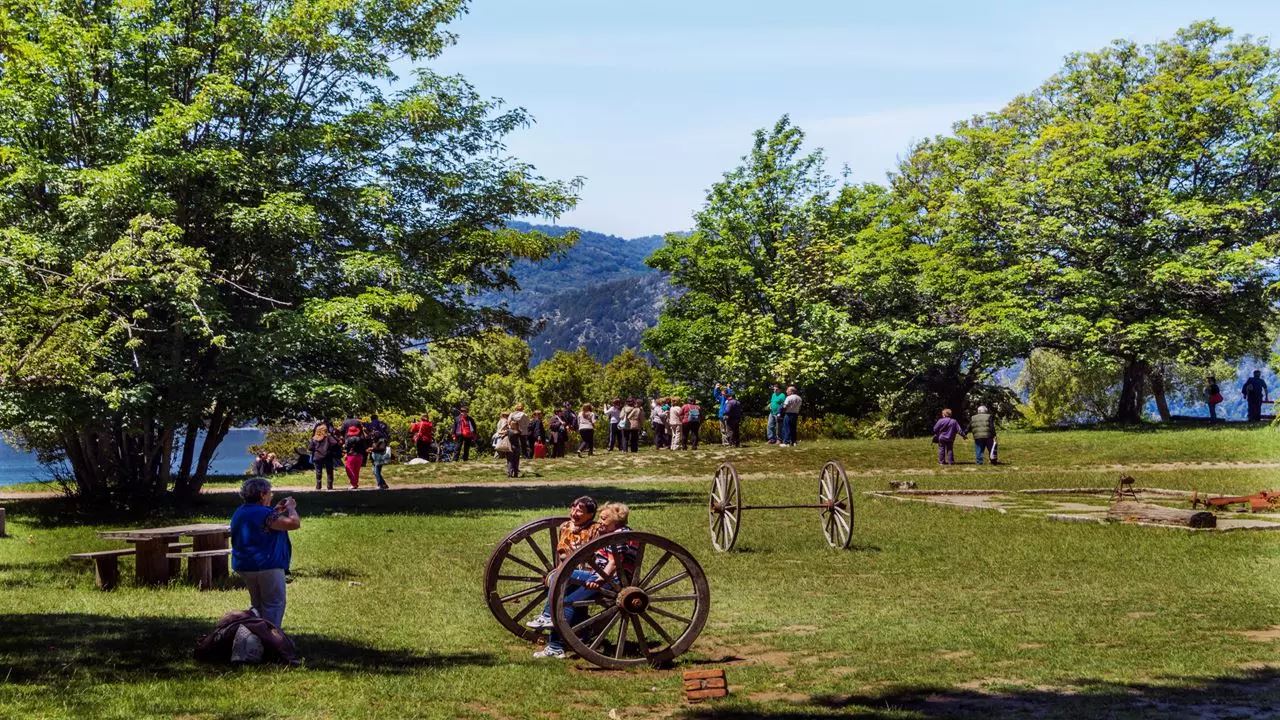 OFFER: AIRPORT TRANSFERS, CHICO CIRCUIT AND VICTORIA ISLAND AND ARRAYANES FOREST (8)