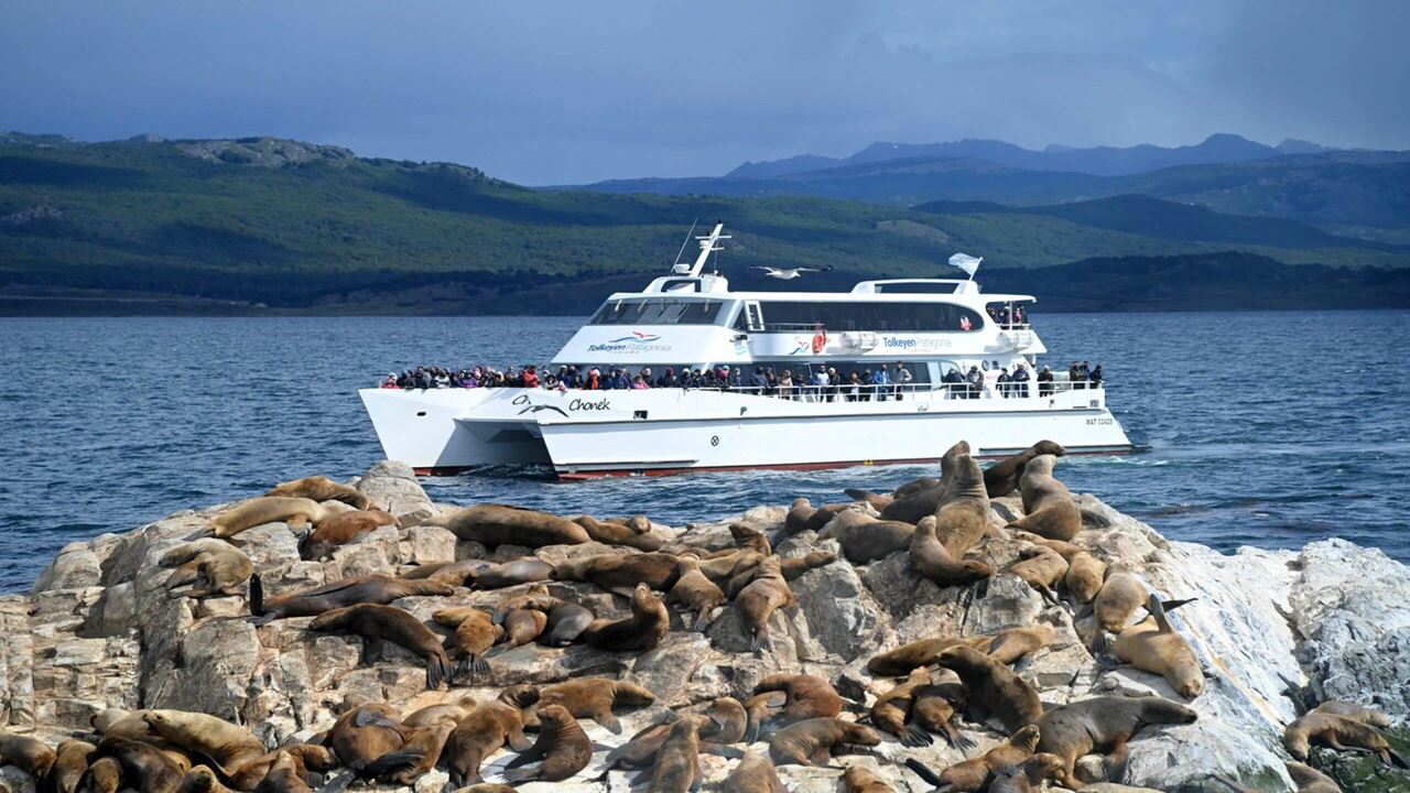 Offer: Airport Transfers, National Park And Sailing To Island Of Wolves And Birds