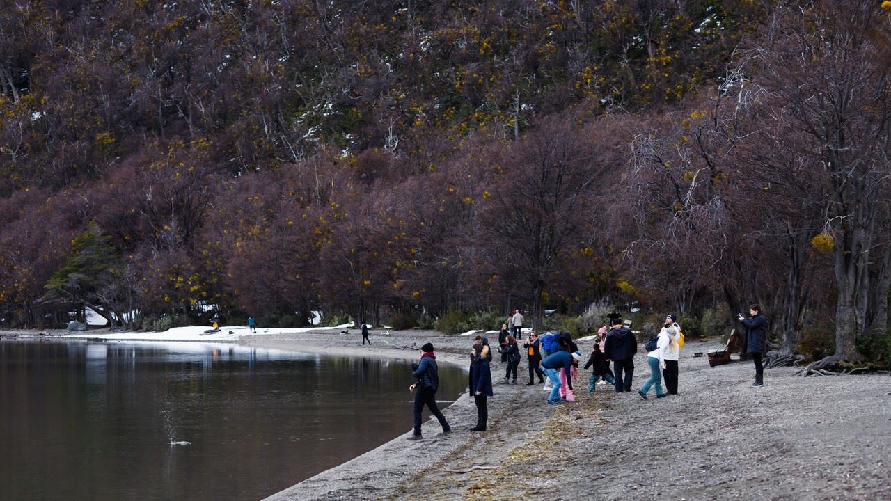 OFERTA: TRASLADOS DESDE Y HACIA AEROPUERTO Y PARQUE NACIONAL CON TREN (4)