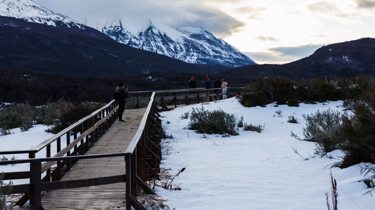 OFERTA: TRASLADOS DESDE Y HACIA AEROPUERTO Y PARQUE NACIONAL CON TREN (3)