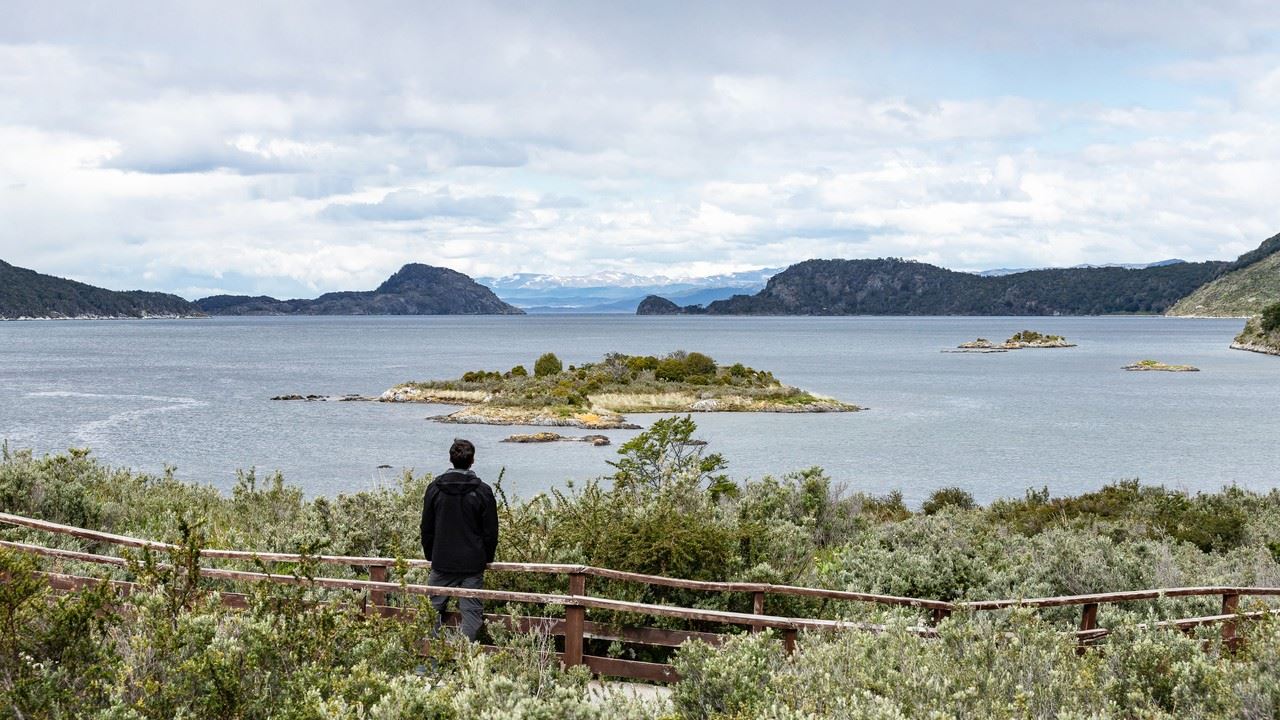 OFERTA: TRASLADOS DESDE Y HACIA AEROPUERTO Y PARQUE NACIONAL CON TREN (5)
