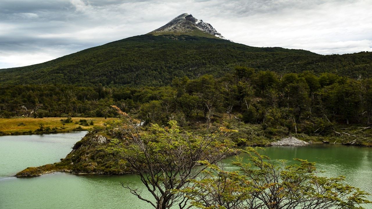 OFERTA: TRASLADOS DESDE Y HACIA AEROPUERTO Y PARQUE NACIONAL CON TREN (11)