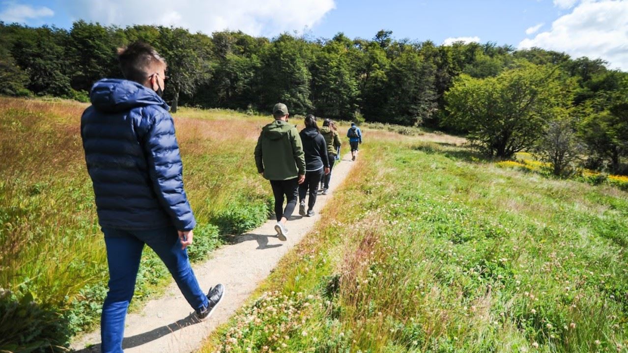 OFERTA: TRASLADOS DESDE Y HACIA AEROPUERTO Y PARQUE NACIONAL CON TREN (14)