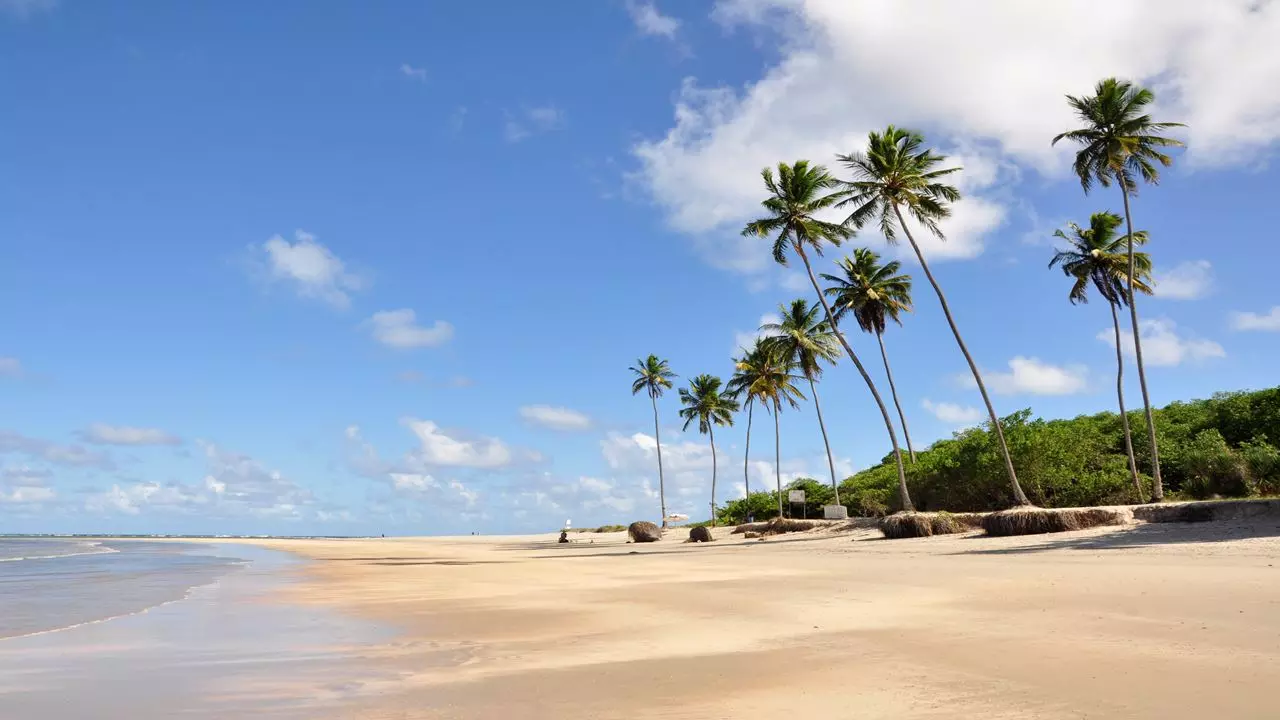 Forfait Tout Compris À Porto De Galinhas