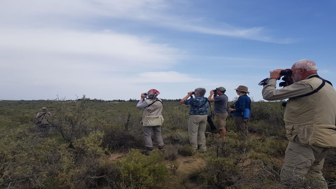FORFAIT TRANSFERT, PUNTA TOMBO ET PENINSULE VALDÉS (8)