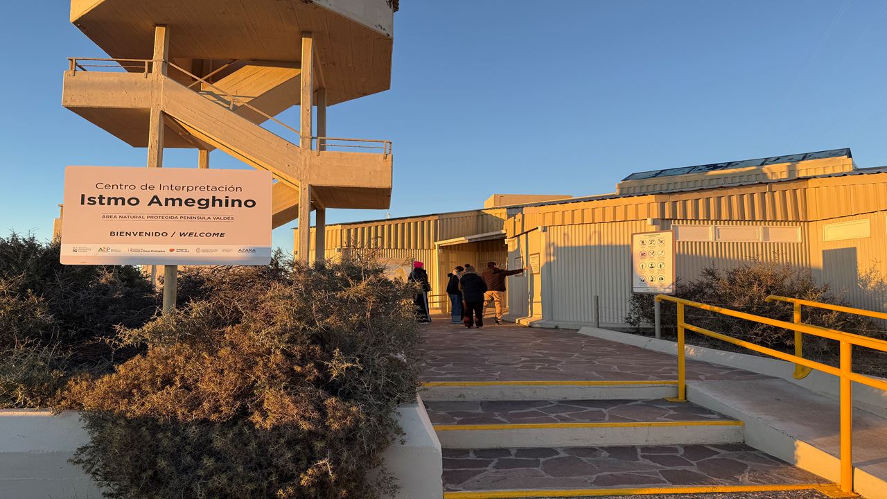 FORFAIT TRANSFERT, PUNTA TOMBO ET PENINSULE VALDÉS (9)