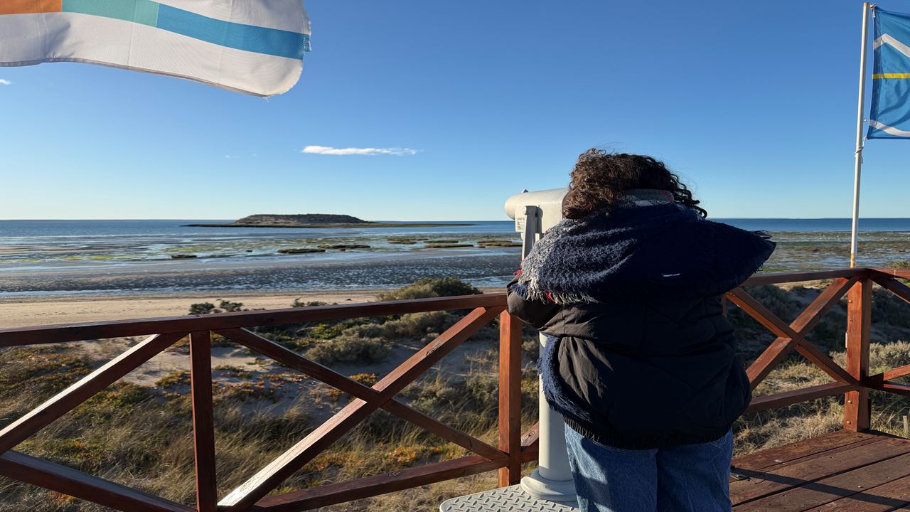 FORFAIT TRANSFERT, PUNTA TOMBO ET PENINSULE VALDÉS (10)