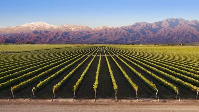 Forfait Voyage De Luxe Mendoza