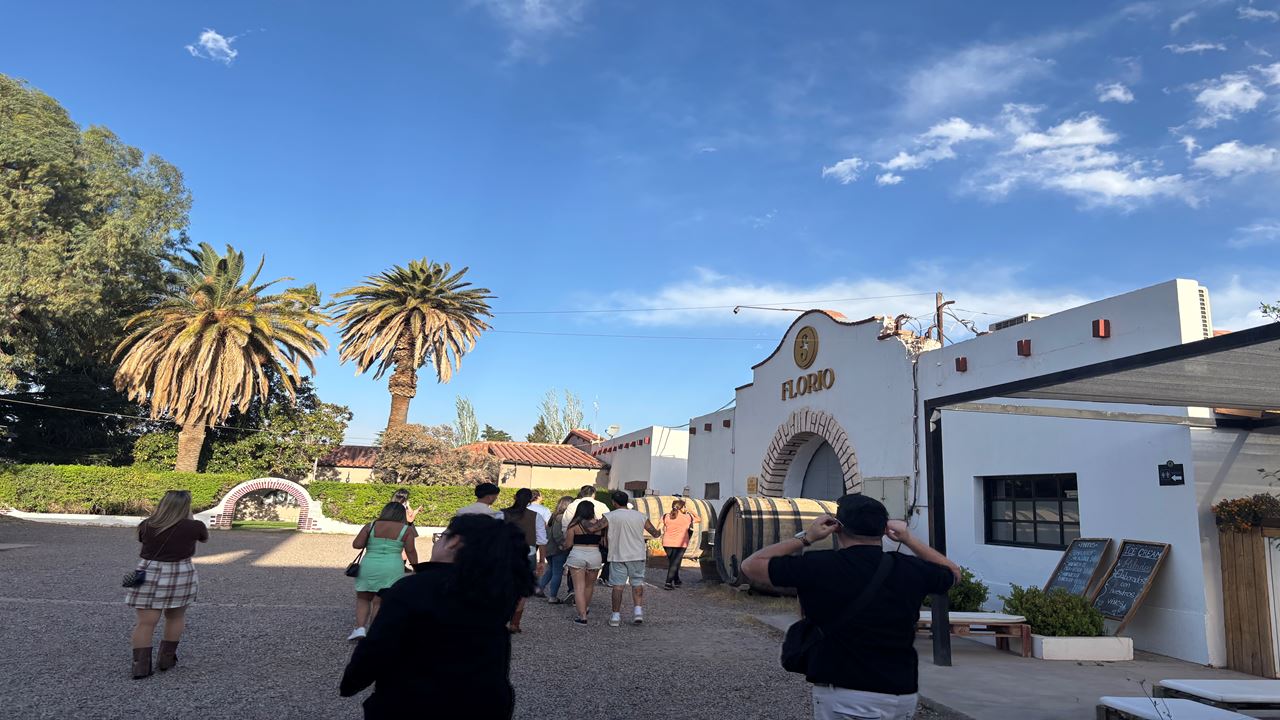 PACOTE CLÁSSICO MENDOZA (12)