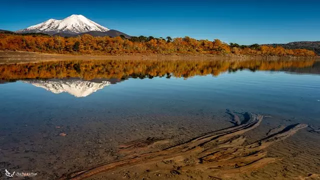 Full Day Conguillío National Park