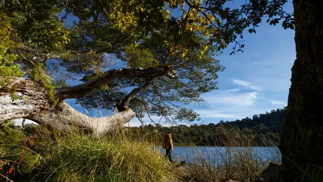 Parque Nacional Puyehue Y Termas De Aguas Calientes