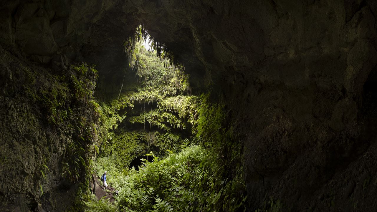 Upper Santa Cruz: Giant Turtles, Lava Tunnels and The Twins (8)