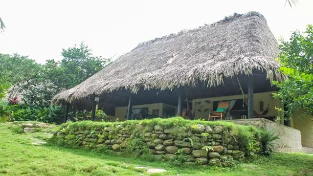 Pasadía Tayronaka