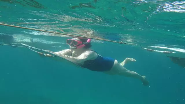 Excursion En Bateau Au Coucher Du Soleil