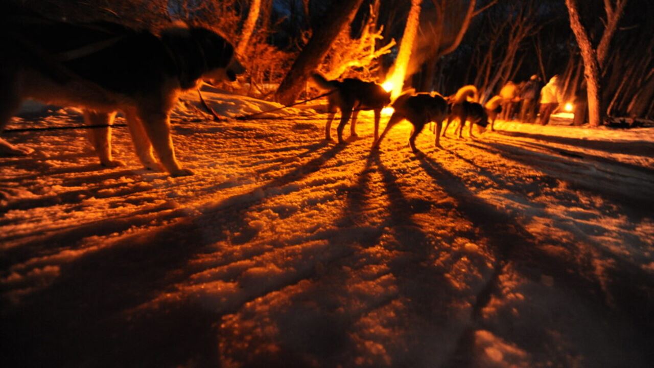 PASEO EN TRINEO, MOTO DE NIEVE Y RAQUETAS CON CENA (3)