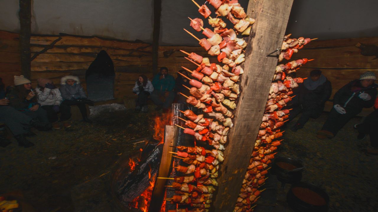 PASEO EN TRINEO, MOTO DE NIEVE Y RAQUETAS CON CENA (5)