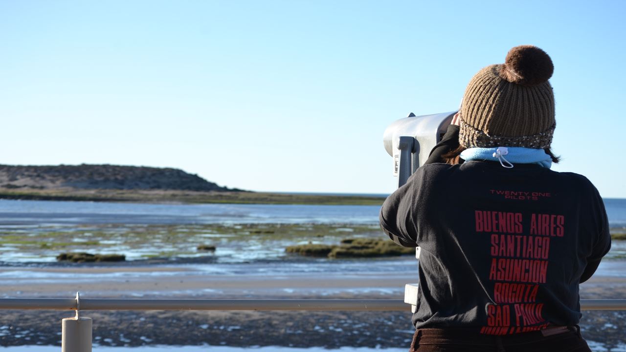 Observation de baleines dans la péninsule de Valdés (8)