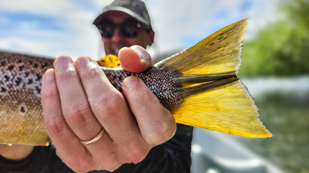 Fliegenfischen in den patagonischen Seen (7)