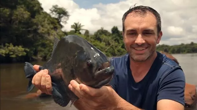 Piranha Pêchant Dans L`Amazone