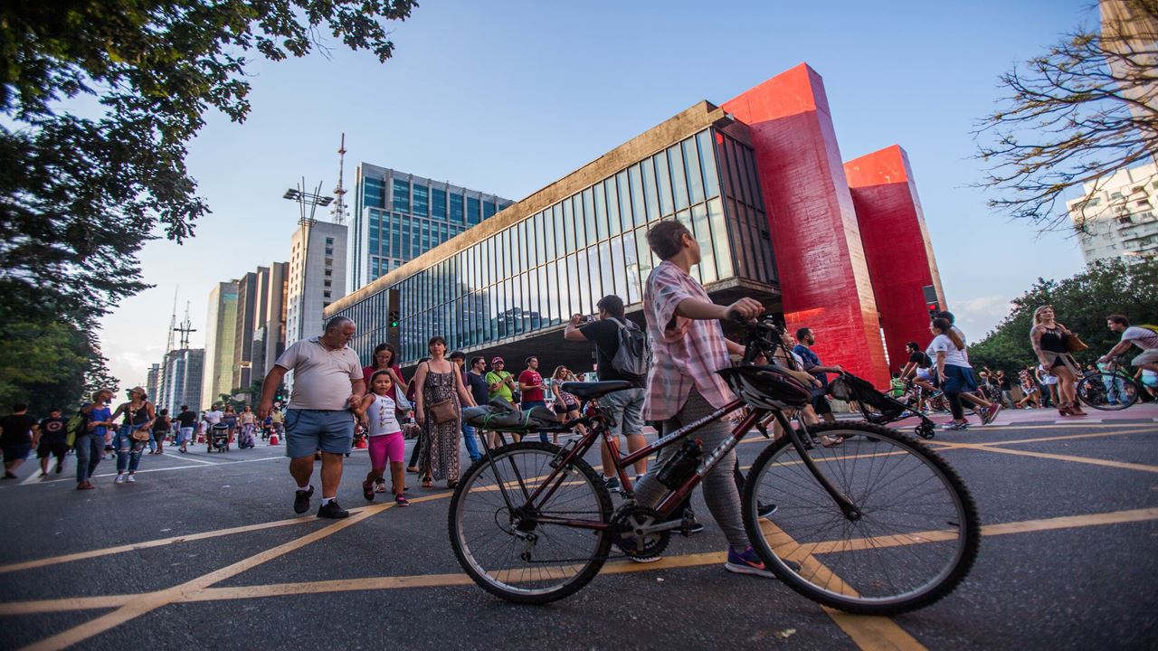 Private Contemporary Art Tour In São Paulo