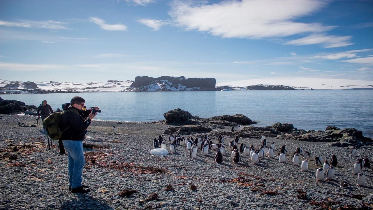 Programme d`une journée complète en Antarctique - 5 jours et 4 nuits (7)