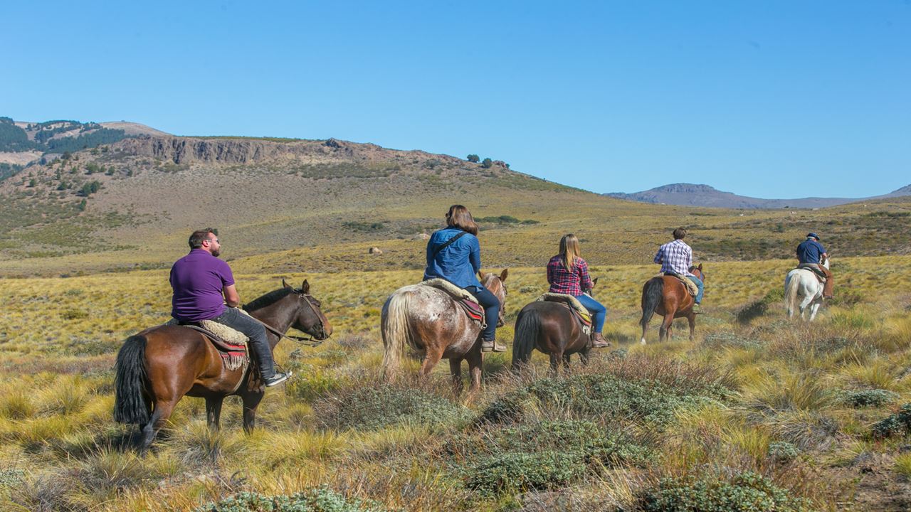 PROMO: SMALL CIRCUIT, HORSEBACK RIDING AND AIRPORT TRANSFERS (5)