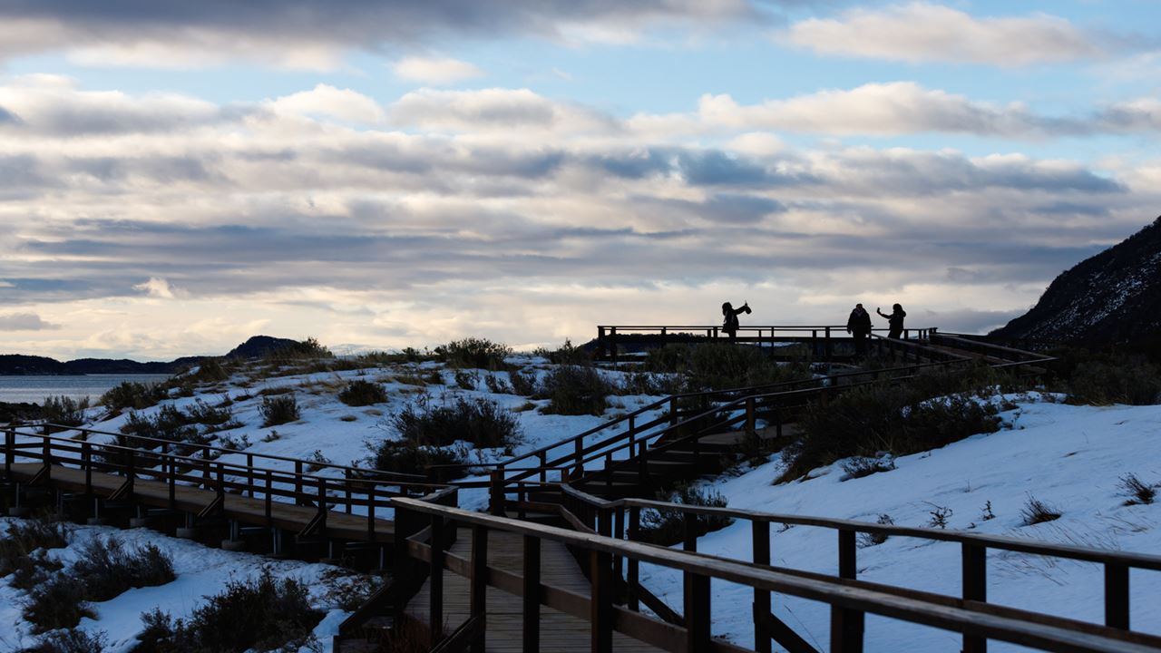 Promo: Transfers To The Airport, National Park And Fueguino Lakes