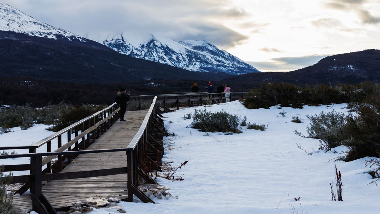 PROMO: TRANSFERS TO THE AIRPORT, NATIONAL PARK AND FUEGUINO LAKES (5)