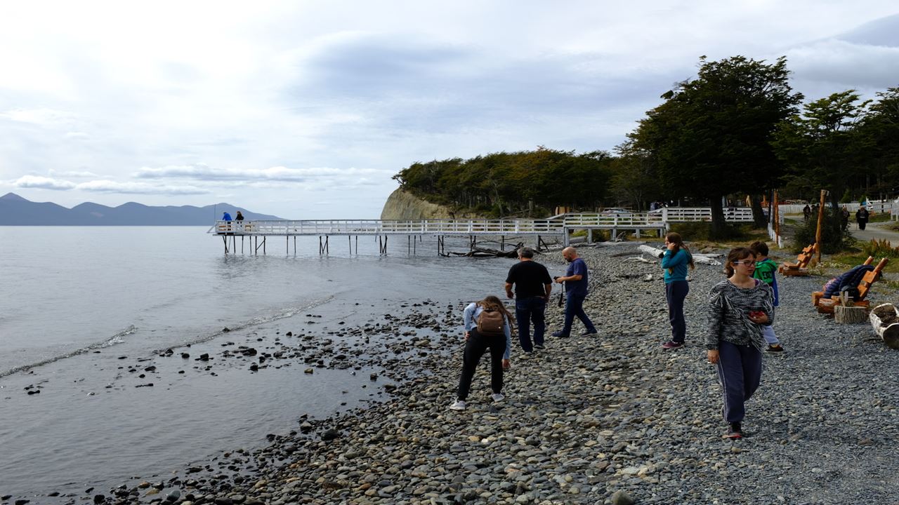 PROMO: TRANSFERS TO THE AIRPORT, NATIONAL PARK AND FUEGUINO LAKES (7)