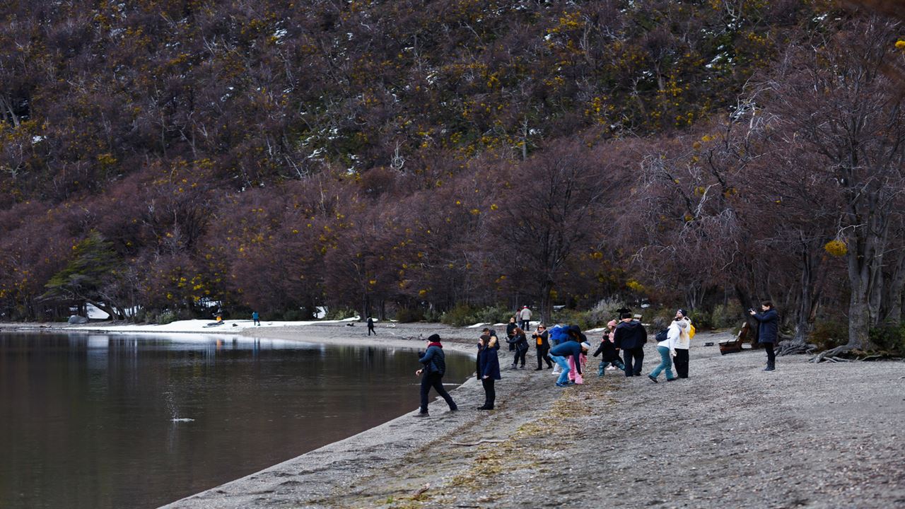 PROMO: TRANSFERS TO THE AIRPORT, NATIONAL PARK AND FUEGUINO LAKES (10)