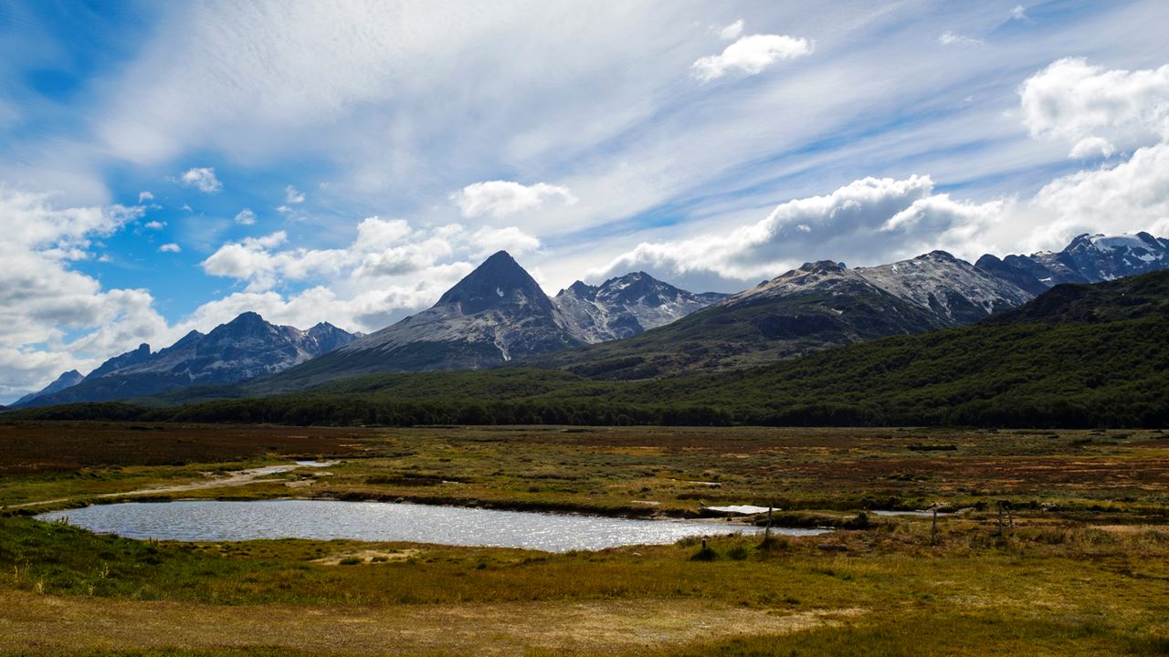 PROMO: TRANSFERS TO THE AIRPORT, NATIONAL PARK AND FUEGUINO LAKES (11)