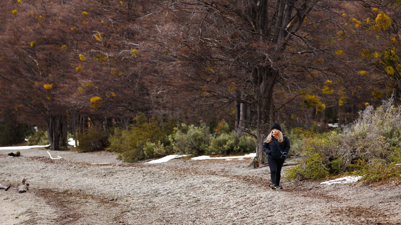 PROMO: TRANSFERS TO THE AIRPORT, NATIONAL PARK AND FUEGUINO LAKES (12)