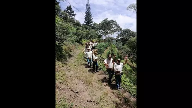 Tour De Café Tradicional