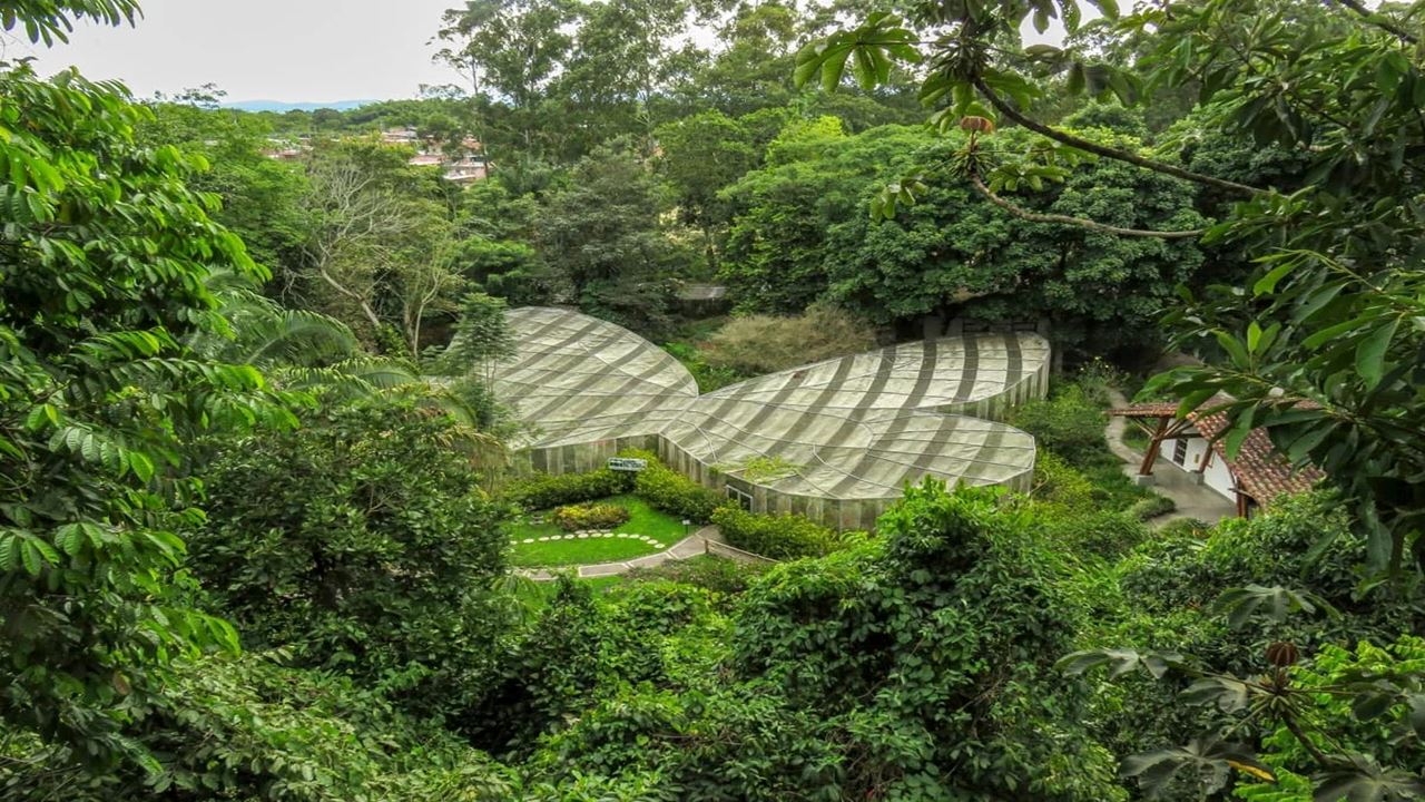 Tour Of The Botanical Garden And Butterfly Garden Of Quindío