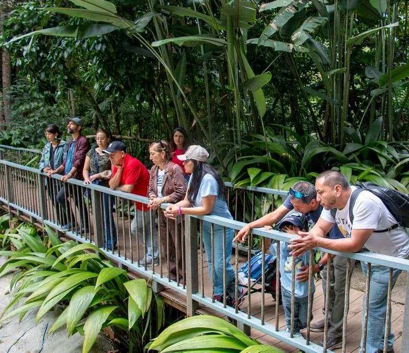 Tour Of The Botanical Garden And Butterfly Garden Of Quindío foto 3