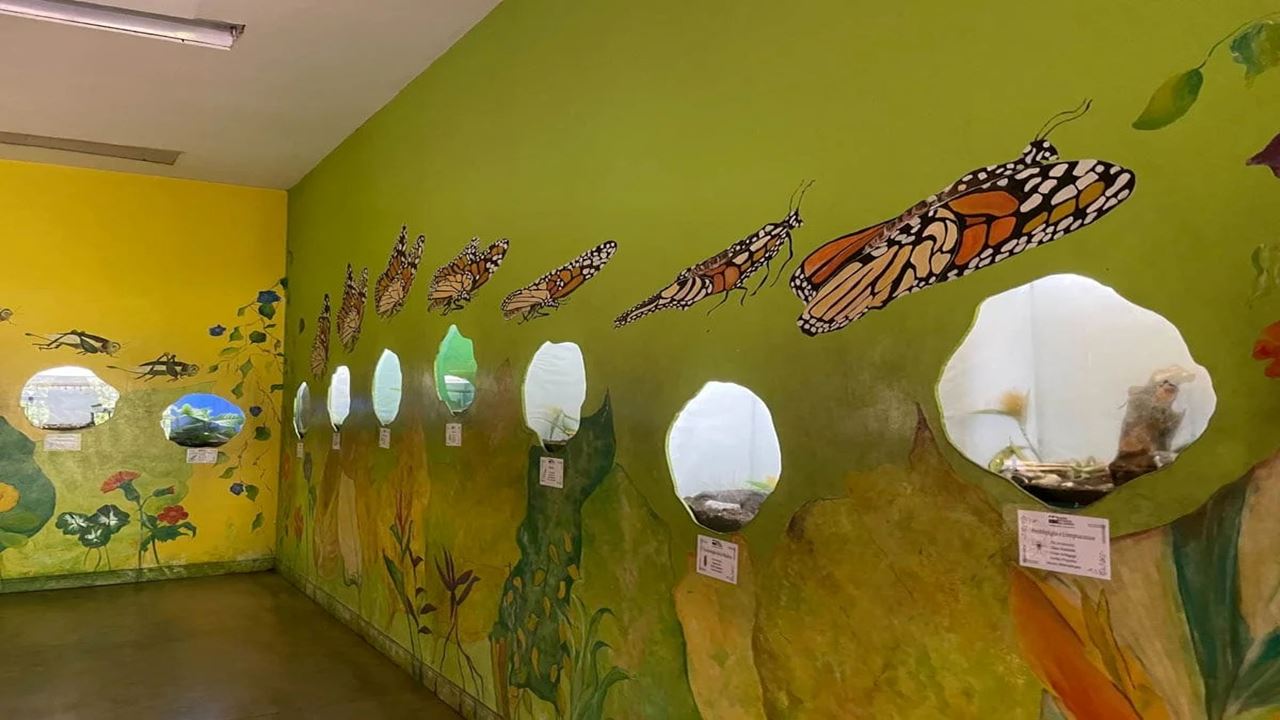 Tour Of The Botanical Garden And Butterfly Garden Of Quindío foto 6