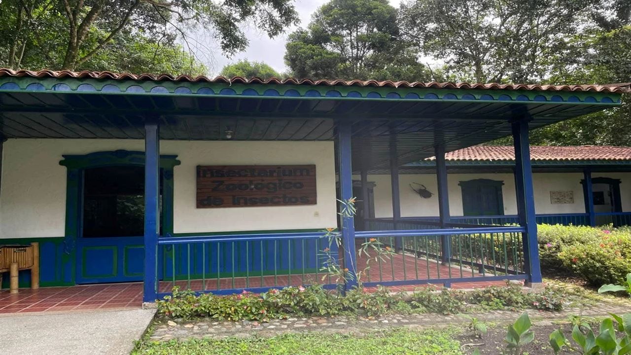 Tour Of The Botanical Garden And Butterfly Garden Of Quindío foto 7