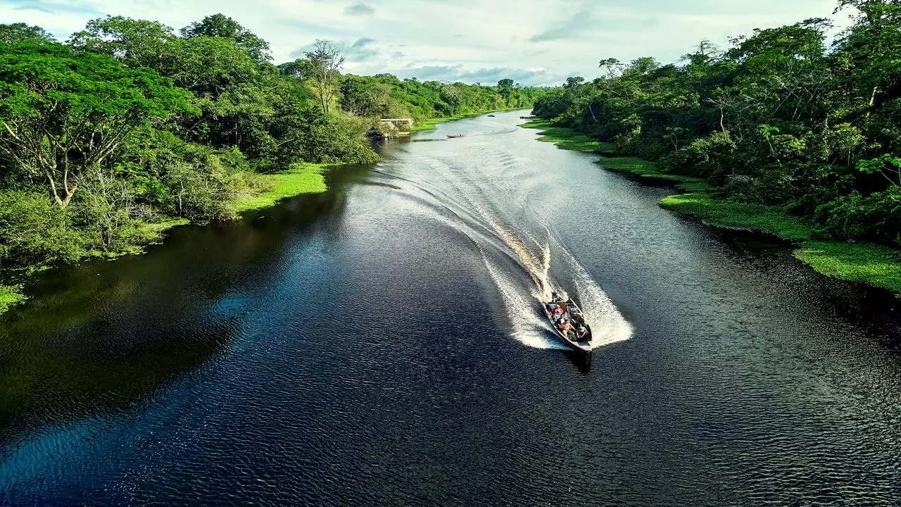 Réserve Amazonienne Tamshiyacu Tahuayo