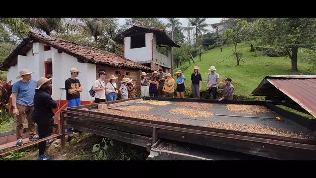Visita A Finca De Café Orgánica Con Degustación Profesional