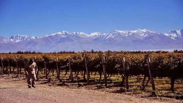 Route Privée Des Vins Dans La Vallée Nord D`Uco